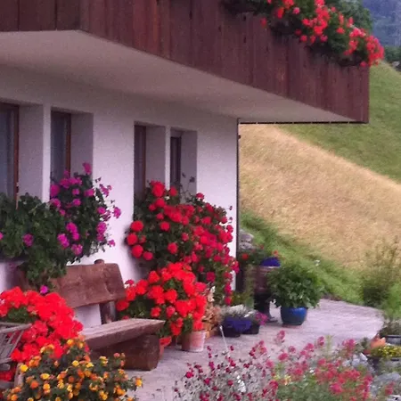 Anneliese Schaad By Interhome هاسليبرغ