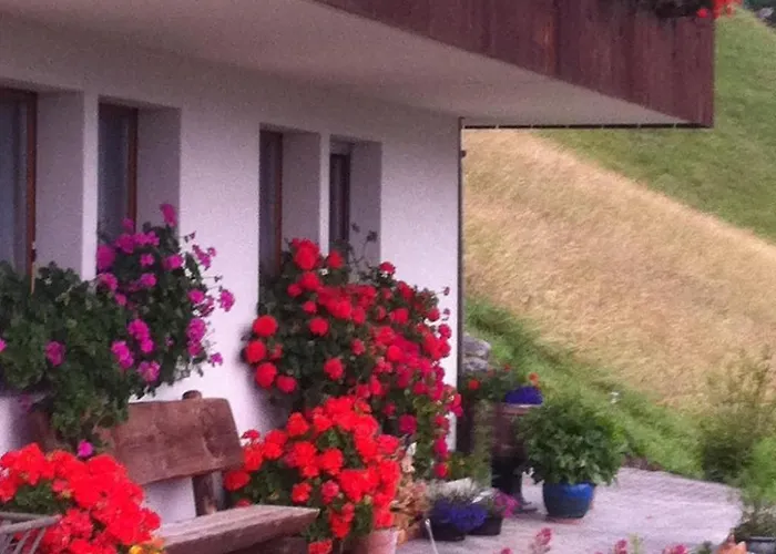 Anneliese Schaad By Interhome 하슬리베르크